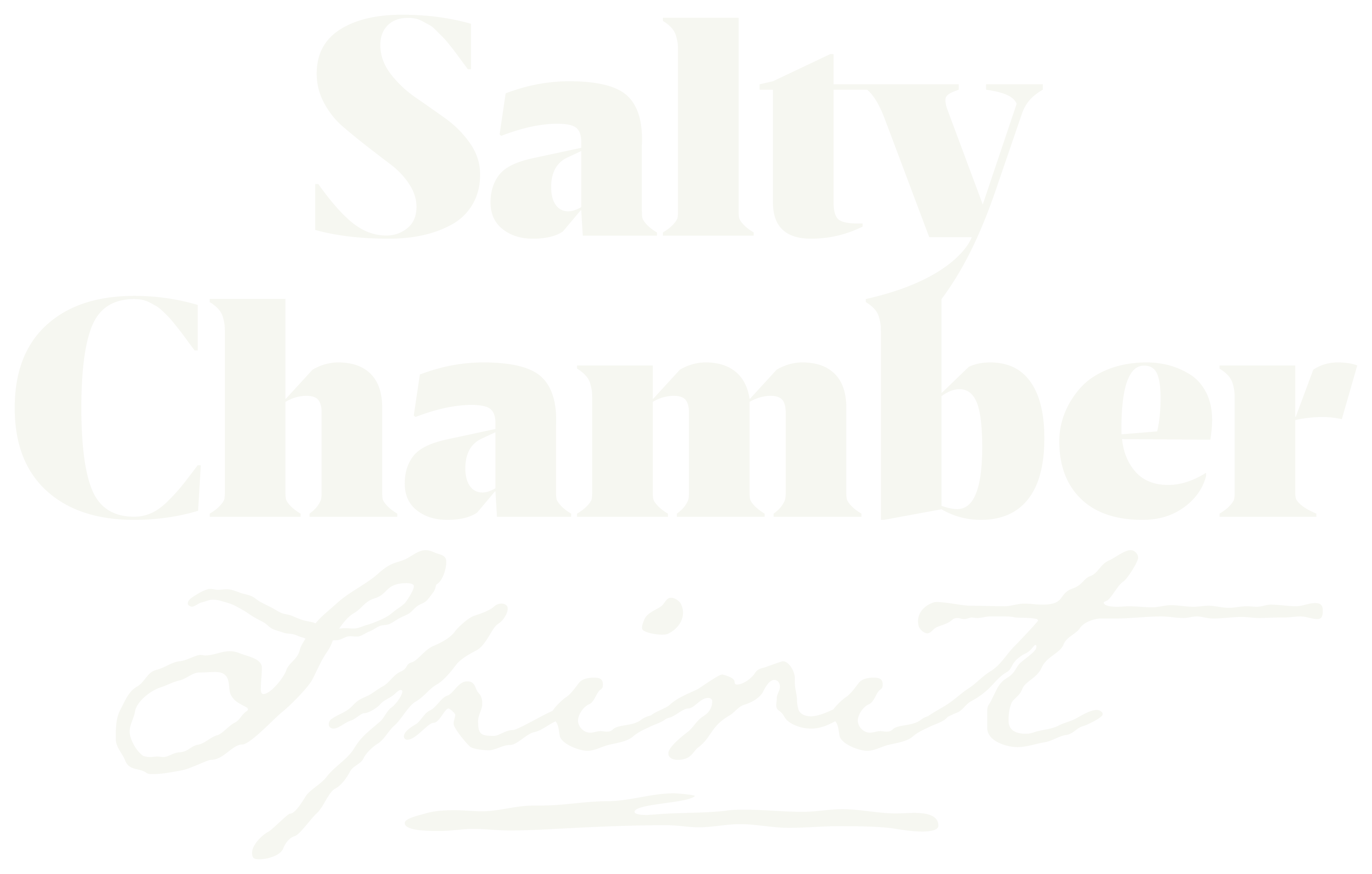 Salty Chamber Spirit